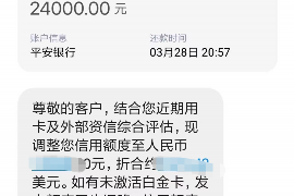 安陆为什么选择专业追讨公司来处理您的债务纠纷？